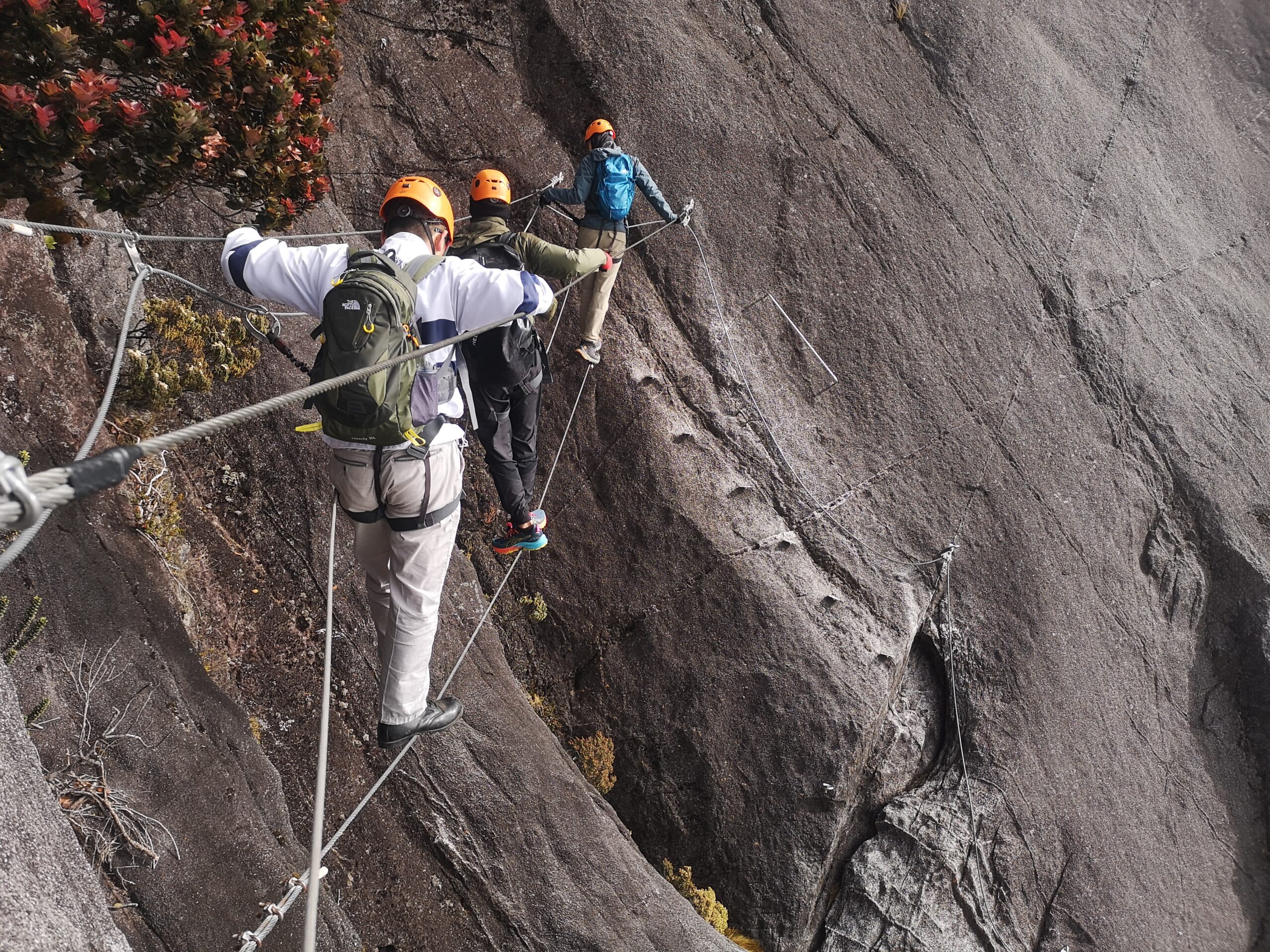 IMG 20240319 083947 scaled