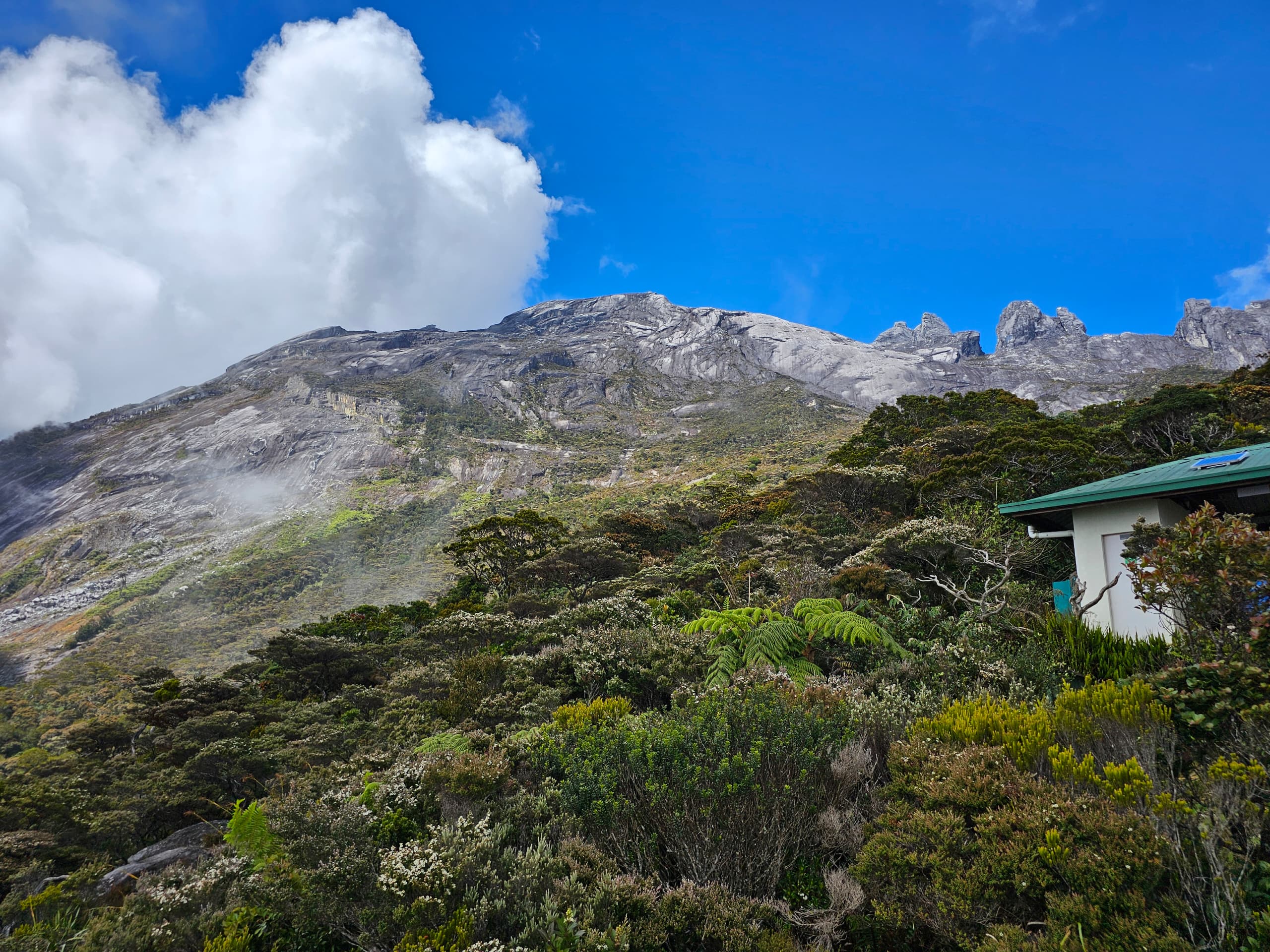 WhatsApp Image 2024 02 26 at 10.49.24 PM