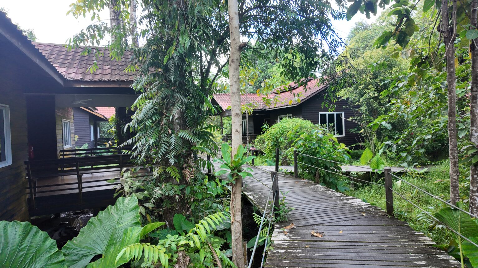 Best Lodges for Kinabatangan Wildlife Tour in Sabah 4 DJI 20251003143246 0837 D 1536x864 1
