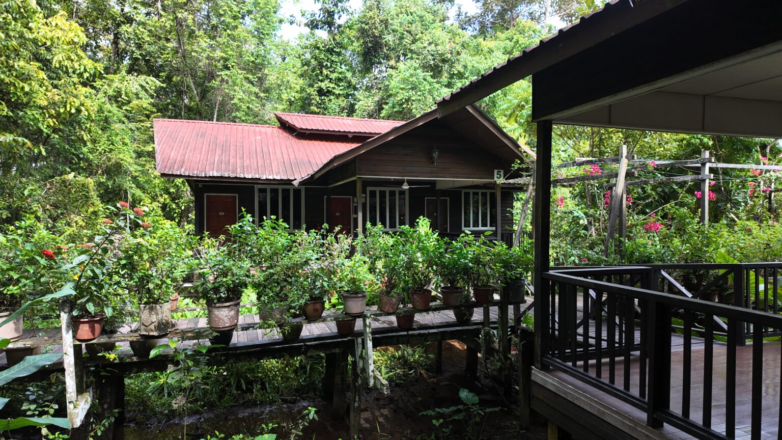 Best Lodges for Kinabatangan Wildlife Tour in Sabah 3 DJI 20251004094403 0073 D 1536x864 1