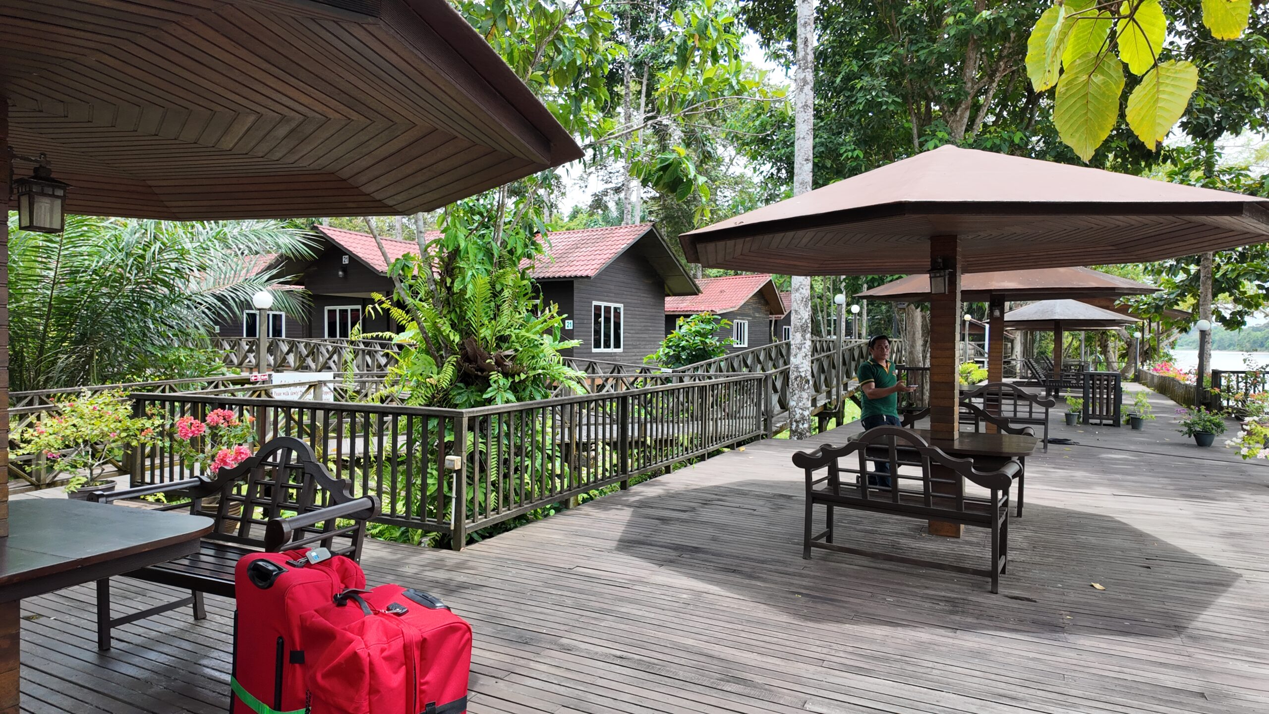 Best Lodges for Kinabatangan Wildlife Tour in Sabah 1 DJI 20251004113315 0118 D scaled