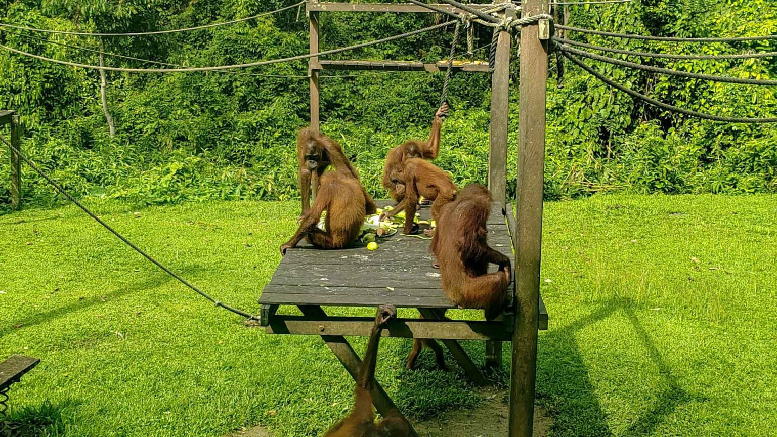 IMG 20240621 092720 copy Compressed 1536x864 1