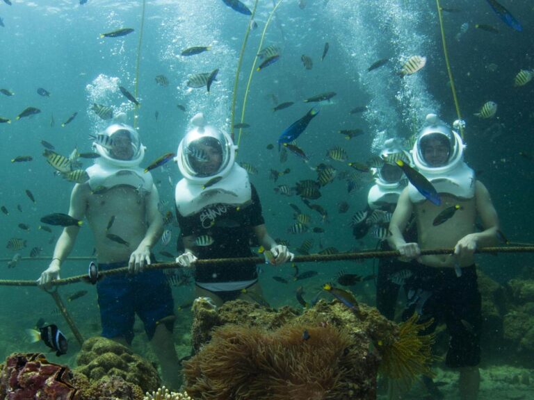 Sabah Diving and Island Tour Packages 2023