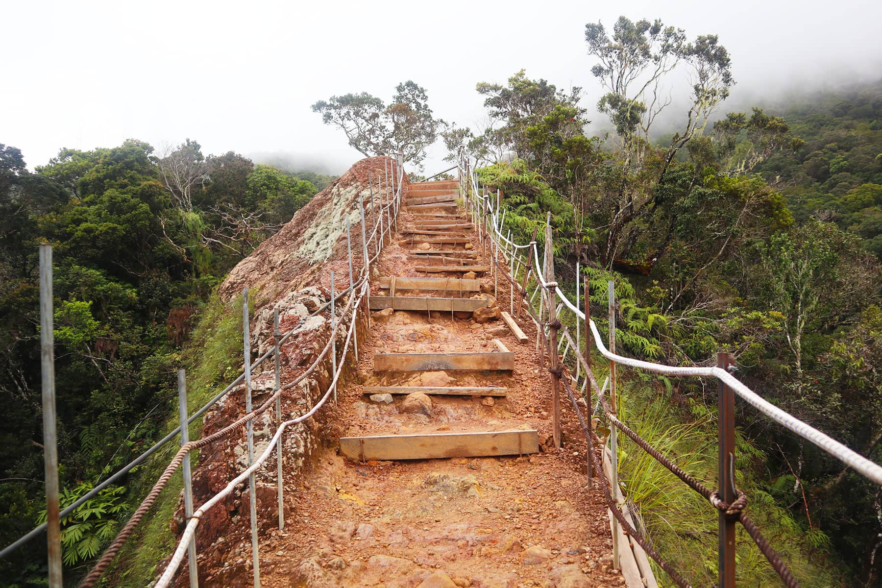 Mount Kinabalu Climb