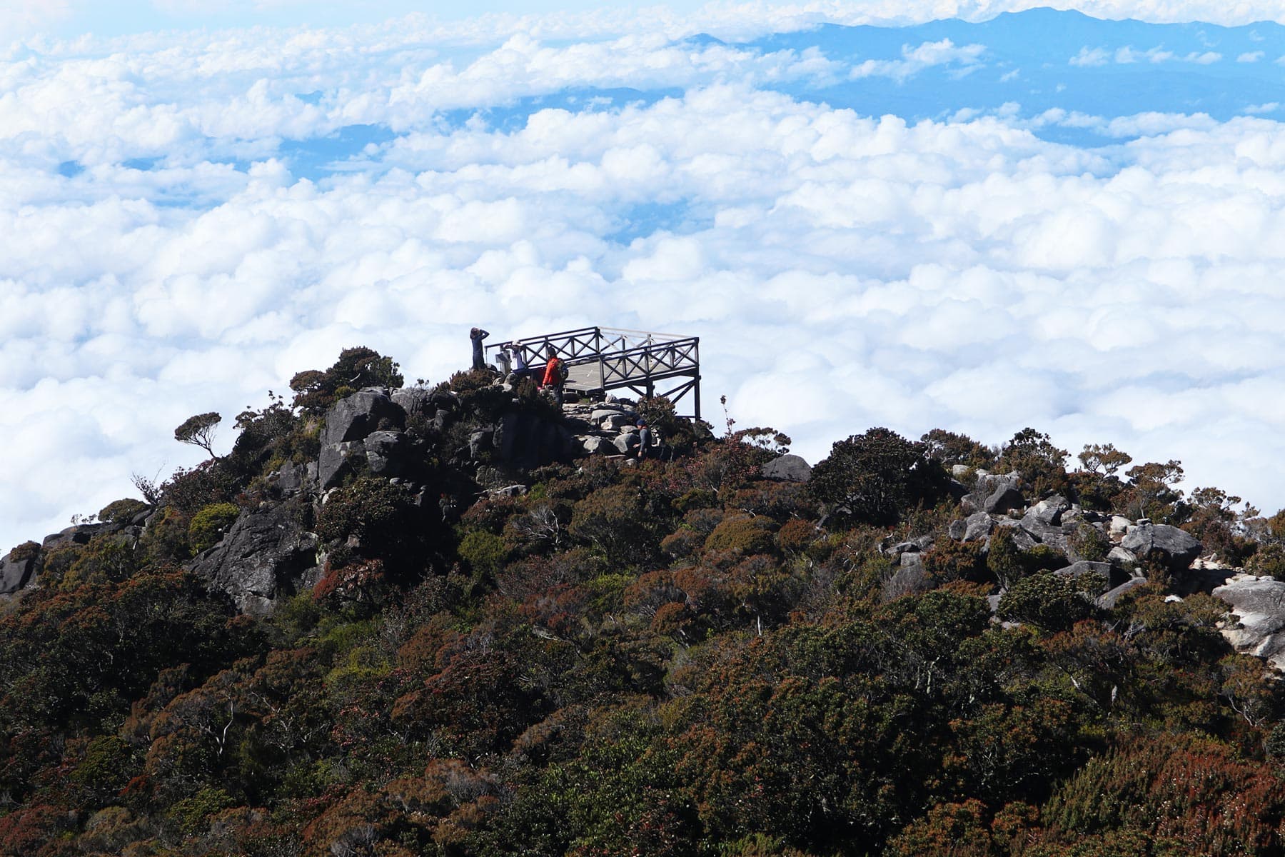 Mount Kinabalu Hike