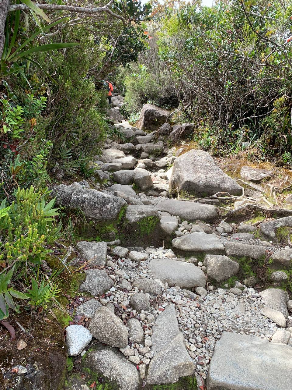 Mount Kinabalu Climb - Path