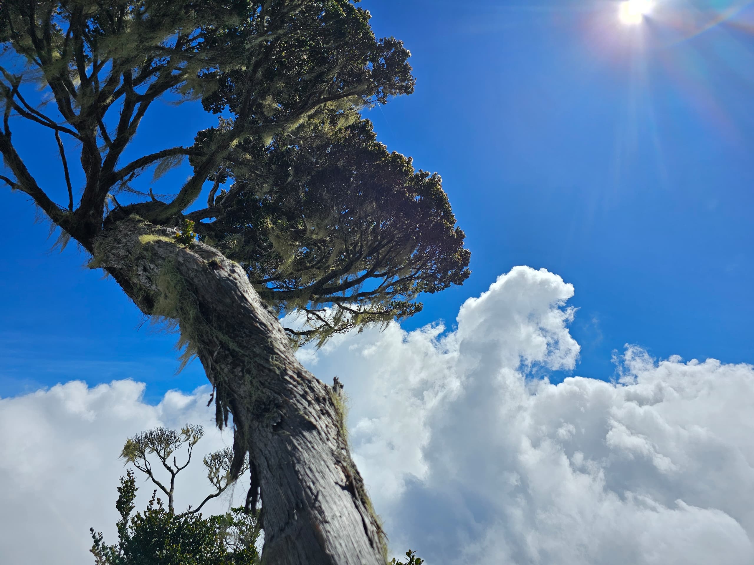 WhatsApp Image 2024 02 26 at 10.49.23 PM 1